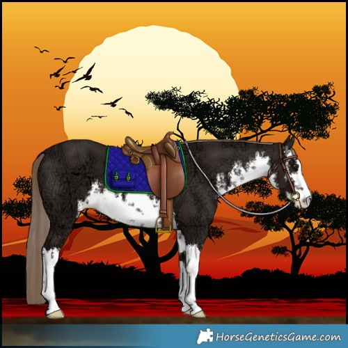 Horse Color:White Spotted Liver Chestnut Ice 