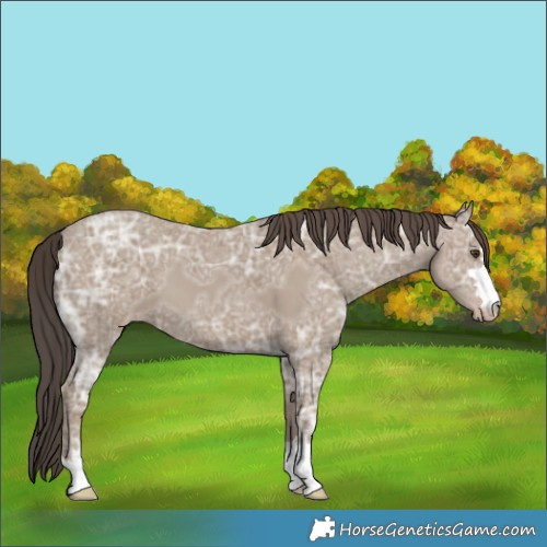 Horse Color:Classic Champagne Ice 