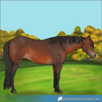 Horse Color:Brown 