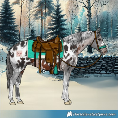 Horse Color:White Spotted Brown Tobiano Blanket 