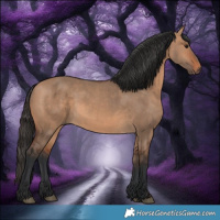 Horse Color:Bay Dun 