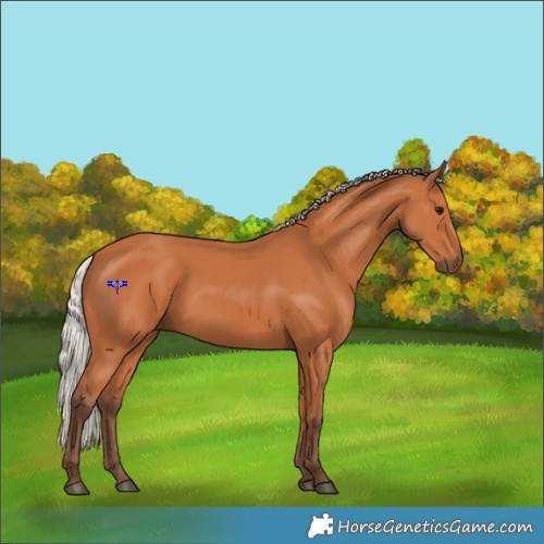 Horse Color:Silver Bay 