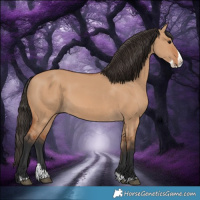 Horse Color:Bay Dun Splash 