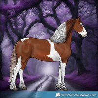 Horse Color:Chestnut Splash Tobiano