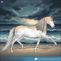 Horse Color:Silver Classic Champagne Dun Splash Frame 
