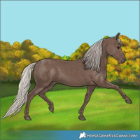 Horse Color:Silver Black 