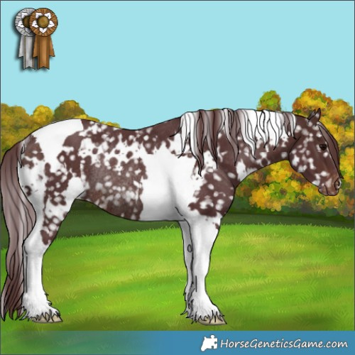 Horse Color:White Spotted Chocolate Brown Tobiano Appaloosa Rabicano 