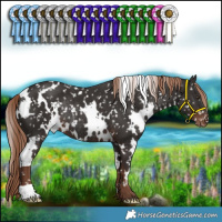 Horse Color:White Spotted Liver Chestnut Appaloosa Rabicano