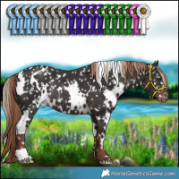 Horse Color:White Spotted Liver Chestnut Appaloosa Rabicano 