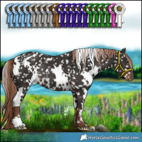 Horse Color:White Spotted Liver Chestnut Appaloosa Rabicano