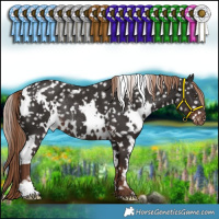 Horse Color:White Spotted Liver Chestnut Appaloosa Rabicano 