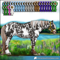 Horse Color:White Spotted Liver Chestnut Snowflake Varnish Rabicano