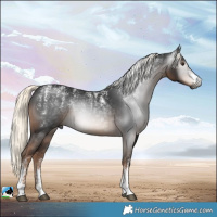 Horse Color:Powder White Gray Liver Chestnut Mushroom 