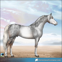 Horse Color:Powder White Gray Liver Chestnut Mushroom