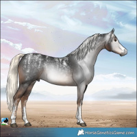 Horse Color:Powder White Gray Liver Chestnut Mushroom 