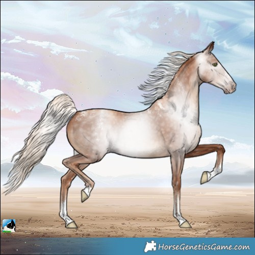 Horse Color:Powder White Gray Gold Champagne Mushroom 