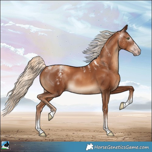 Horse Color:Powder White Gray Gold Champagne Mushroom
