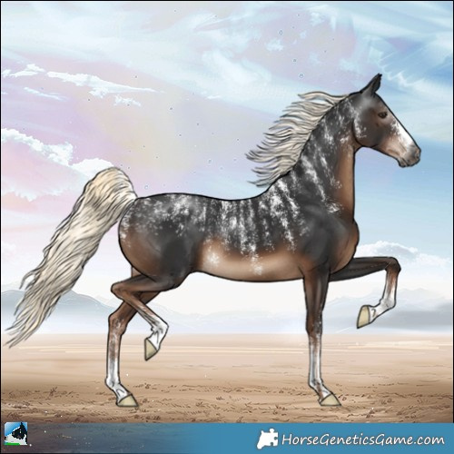 Horse Color:Powder White Gray Liver Chestnut Mushroom 