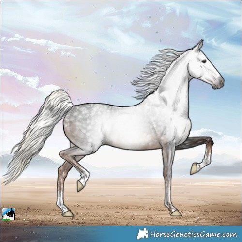 Horse Color:Powder White Gray Liver Chestnut Mushroom 