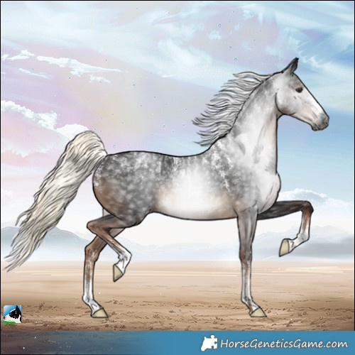 Horse Color:Powder White Gray Liver Chestnut Mushroom 