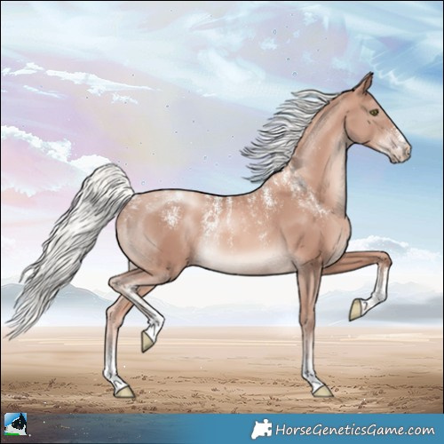 Horse Color:Powder White Gold Champagne Mushroom
