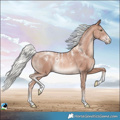 Horse Color:Powder White Gold Champagne Mushroom 