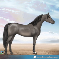 Horse Color:Smoky Grullo 