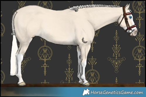 Horse Color:Cremello Splash and Cremello Splash