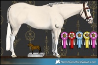 Horse Color:Cremello Splash and Cremello Splash