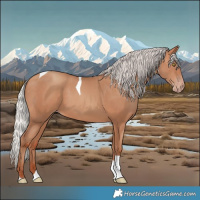 Horse Color:Silver Amber Champagne Tobiano 