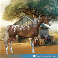 Horse Color:Powder White Chocolate Palomino 