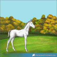 Horse Color:White Spotted Smoky Creme Splash Tobiano 