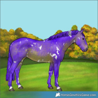 Horse Color:Watercolor White Spotted Chocolate Brown Rabicano 