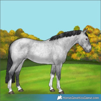 Horse Color:Brown Chinchilla Ice Roan Tobiano Rabicano 