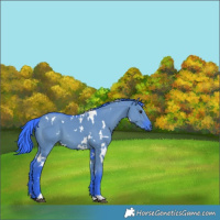 Horse Color:Watercolor White Spotted Smoky Grullo 