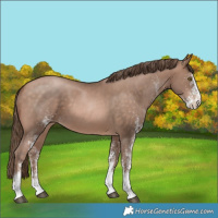 Horse Color:White Spotted Brown Pearl Mushroom 