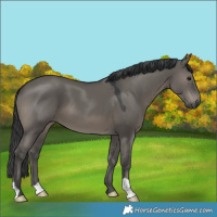 Horse Color:Grullo Mushroom 