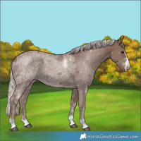 Horse Color:Silver Black Ice 
