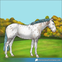 Horse Color:Painted Silver Brown Ice Onyx Sabino Splash Near Leopard 