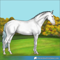 Horse Color:Painted White Spotted Silver Bay Onyx Sabino Splash Near Leopard 