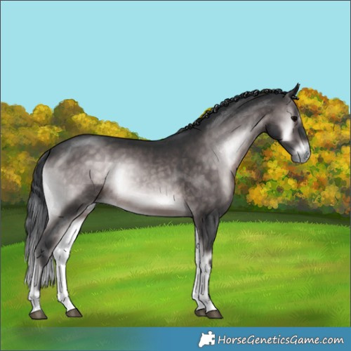 Horse Color:Platinum Brown Onyx 
