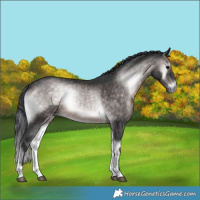 Horse Color:Platinum Brown Onyx 