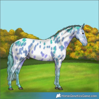 Horse Color:Platinum Watercolor White Spotted Brown Dun Near Leopard Brindle 