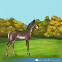Horse Color:White Spotted Liver Chestnut Mushroom 