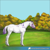 Horse Color:Watercolor White Spotted Brown Ice 
