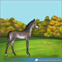 Horse Color:Platinum Brown 