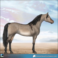 Horse Color:Brown Dun