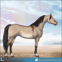 Horse Color:Brown Dun