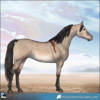 Horse Color:Brown Dun