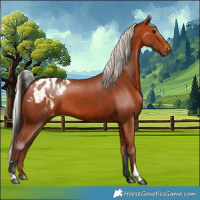 Horse Color:Bay Blanket  and Silver Bay Blanket 